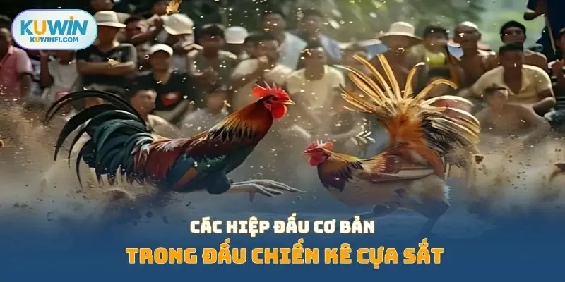 Các hiệp đấu cơ bản trong đấu chiến kê cựa sắt