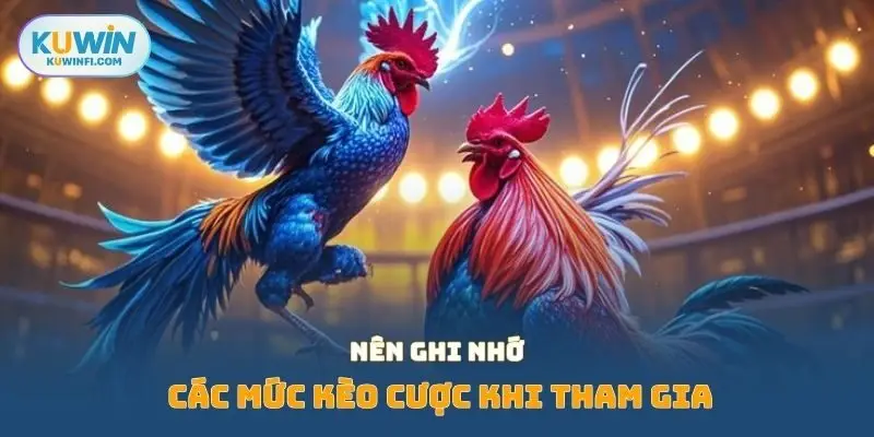 Nên ghi nhớ các mức kèo cược khi tham gia