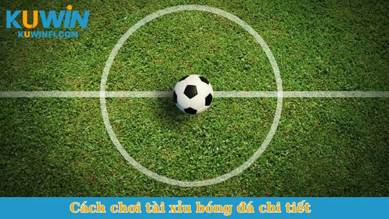 Cách chơi tài xỉu bóng đá chi tiết