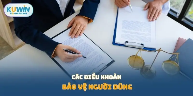 Các điều khoản bảo vệ người dùng
